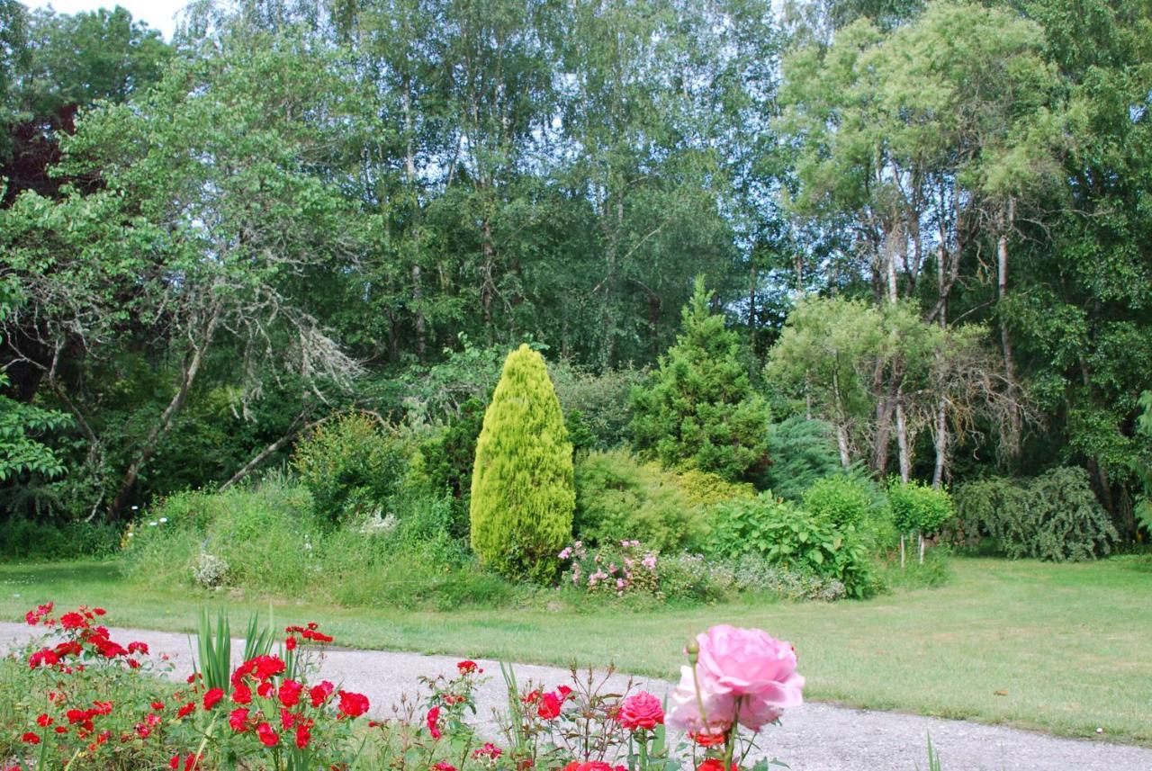 La Petite Marguerite Bed and Breakfast Chitenay Exteriör bild