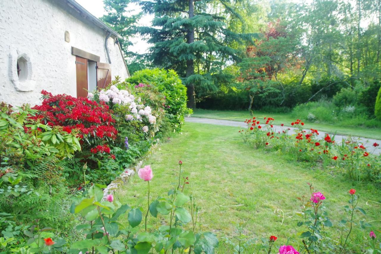 La Petite Marguerite Bed and Breakfast Chitenay Exteriör bild
