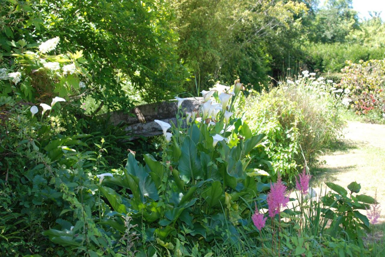 La Petite Marguerite Bed and Breakfast Chitenay Exteriör bild