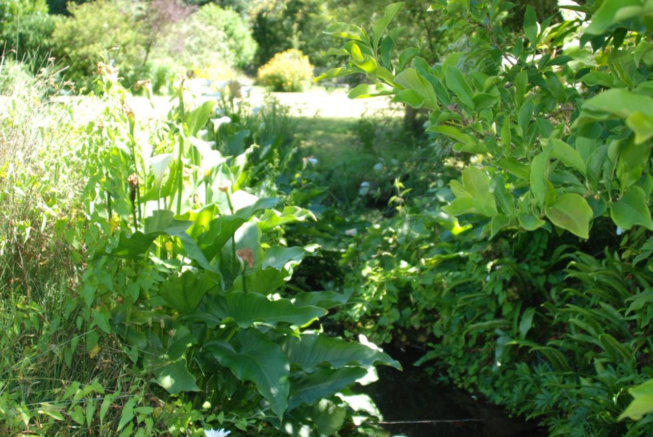 La Petite Marguerite Bed and Breakfast Chitenay Exteriör bild